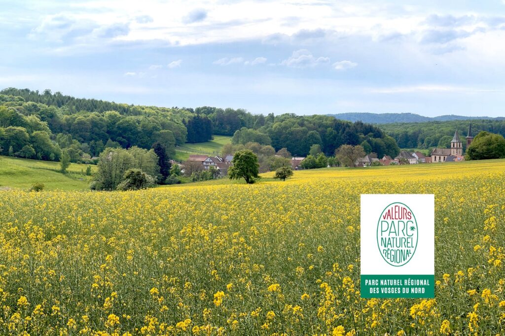Nous remercions le Parc Naturel Régional des Vosges du Nord